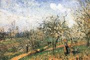 Camille Pissarro Pang map of apple Schwarz painting